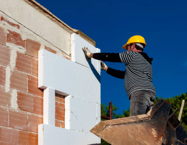 Best Insulation Maintenance and Repair in Keeler Farm, NM