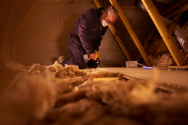 Best Geographic-Specific Insulation Services in Keeler Farm, NM